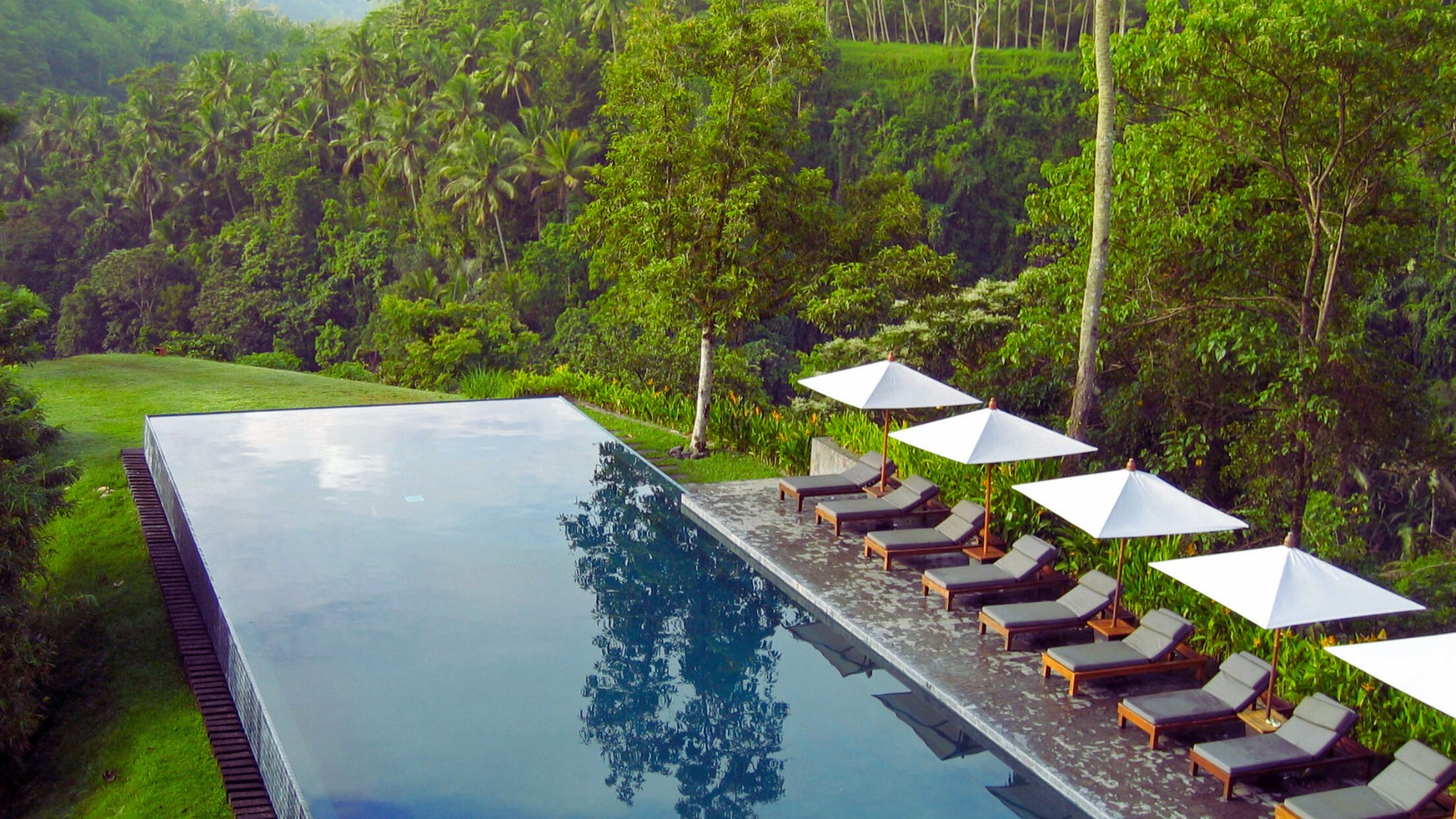 Coorg resorts with swimming Pool