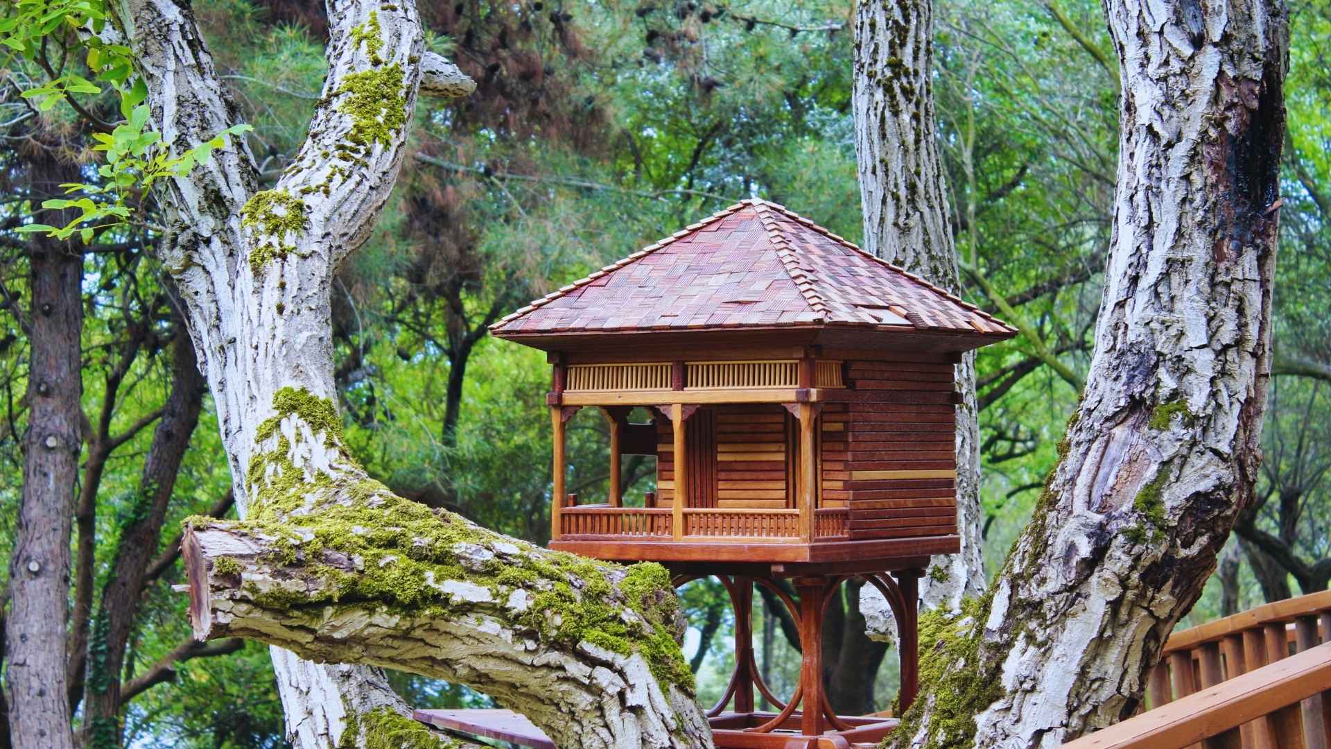 Munnar Tree House