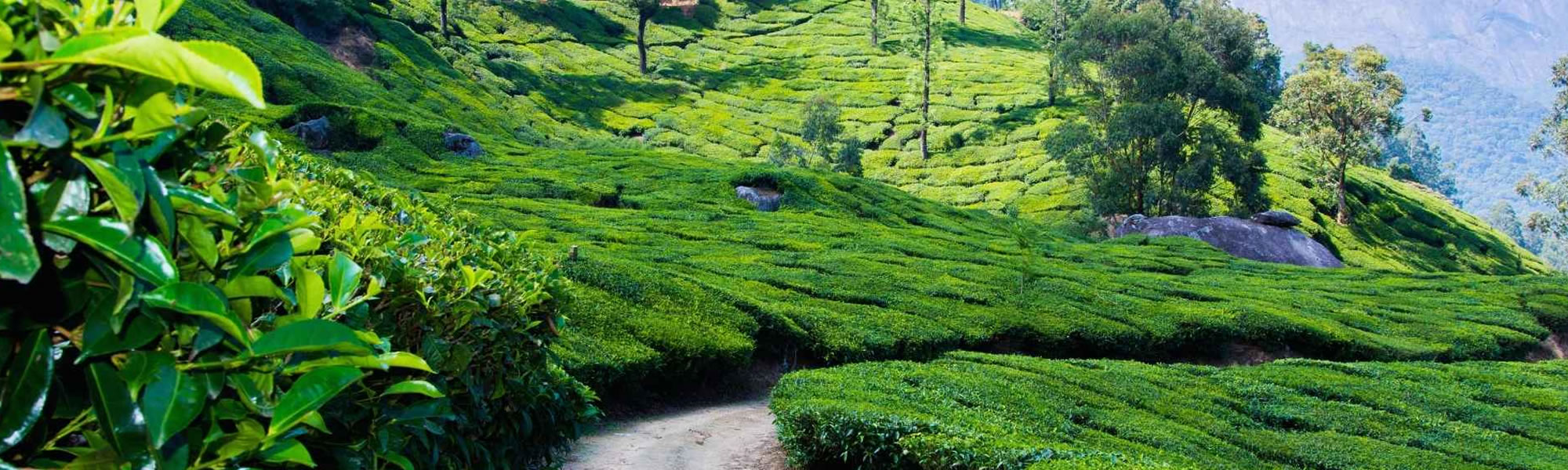 Valparai